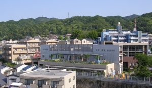 神戸真生塾周辺の平成22年5月の風景